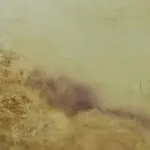 mold damage cleanup fleetwood