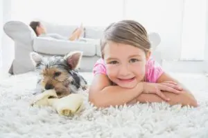 carpet cleaning mohnton