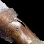 Water Damage Berks County, Water Damage Cleanup Berks County, Water Damage Repair Berks County