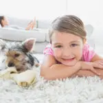 Carpet Cleaning Berks County, Professional Carpet Cleaning Berks County
