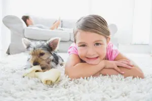 Carpet Cleaning Berks County, Professional Carpet Cleaning Berks County