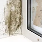 mold removal berks county, mold damage berks county