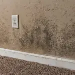 mold damage mohnton, mold damage cleanup mohnton
