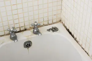mold removal wyomissing, mold remediation wyomissing