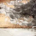 commercial mold remediation, commercial mold cleanup, commercial mold restoration