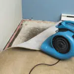 commercial mold remediation sinking spring, commercial mold removal sinking spring, commercial mold cleanup sinking spring