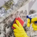 mold removal wyomissing, mold damage wyomissing, mold damage repair wyomissing