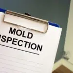 commercial mold remediation