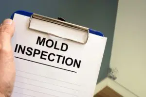 commercial mold remediation