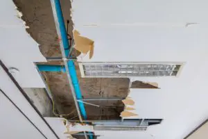 commercial mold remediation
