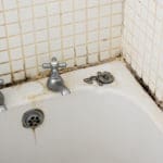 mold removal wyomissing, mold remediation wyomissing