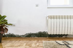 mold removal berks county, mold damage berks county, mold cleanup berks county