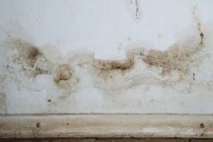 mold removal service berks county, mold remediation berks county, mold damage cleanup berks county