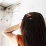 mold removal services wyomissing